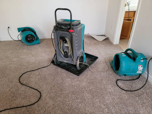 Best Flood restoration services  in Lyncourt, NY