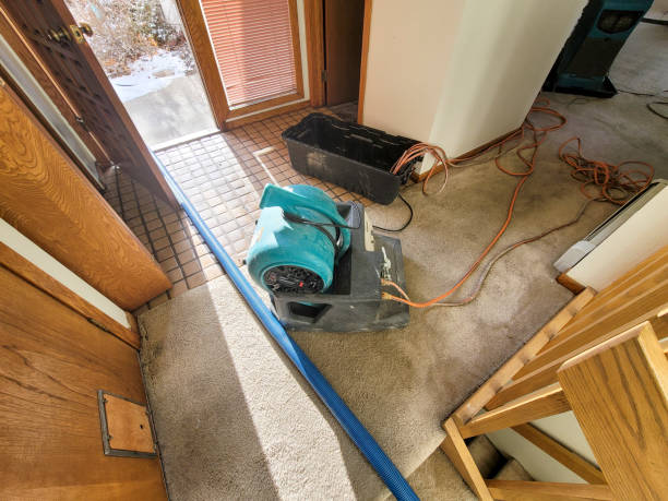 Best Ceiling water damage repair  in Lyncourt, NY
