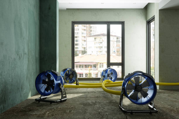Best Mold removal after water damage  in Lyncourt, NY